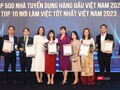Viet Research: Gần nửa số người lao động thích tìm việc qua Facebook, LinkIn