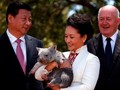 Chủ tịch Trung Quốc Tập Cận Bình cùng phu nhân trong chuyến thăm Canberra ngày 17/11/2014 (Ảnh: CNN)