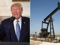 Sau khi rút binh sĩ khỏi Syria, ông Trump lại muốn triển khai binh sĩ ở nước này để "giữ giếng dầu" (Ảnh: RT)