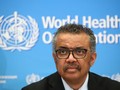 Tổng Giám đốc WHO Tedros Adhanom Ghebreyesus (Ảnh: Business Insider)