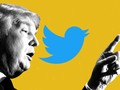 Tổng thống Trump có 89 triệu người theo dõi trên Twitter (Ảnh: The Atlantic)