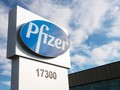 Pfizer cho hay sẽ sớm xin cấp phép cho loại thuốc viên điều trị COVID-19 mà họ phát triển (Ảnh: AP)
