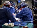 Các bác sĩ thực hiện ca ghép tim lợn cho bệnh nhân David Bennett tại Maryland hôm 7/1 (Ảnh: Reuters).