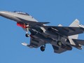 Máy bay chiến đấu Su-30MKA của Không quân Algeria. Ảnh: MW.