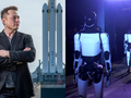 Elon Musk nhiều lần nói về kế hoạch đưa robot hình người lên sao Hỏa. Ảnh: Getty.