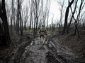 Một quân nhân Ukraine đi bộ gần Pokrovsk ở vùng Donetsk, Ukraine, vào ngày 20/11. Ảnh: Reuters.