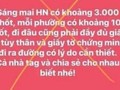 Thông tin sai sự thật bị xử phạt. Ảnh chụp màn hình.