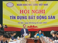 Phó Thống đốc NHNN Đào Minh Tú phát biểu tại hội nghị (Ảnh: VGP)