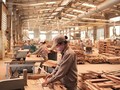 Ngành gỗ Việt Nam đang đứng trước vô vàn khó khăn do đại dịch covid-19.
