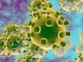 Virus Corona. Ảnh: Internet