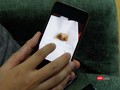 Viên kén âm đạo được quảng cáo tràn lan trên mạng có tác dụng trị hàng loaht bệnh khó nói của chị em phụ nữ (Ảnh: Minh Thúy)