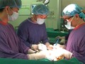 Các bác sĩ tại Bệnh viện Hữu nghị Việt Đức ghép thận cho bệnh nhân thứ 1.000 (Ảnh: BVCC)