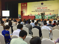 Thứ trưởng Bộ Y tế Nguyễn Trường Sơn phát biểu tại hội nghị sơ kết và triển khai thực hiện công tác điều trị COVID-19 trong giai đoạn mới (Ảnh: Lê Hảo)