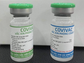 Vaccine COVID-19 Covivac (Ảnh - IVAC) 