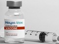 Vaccine Hayat-Vax (Ảnh - BYT)