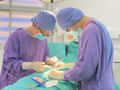 Các bác sĩ phẫu thuật cho bệnh nhân (Ảnh - BVCC) 