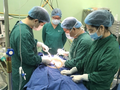 Các bác sĩ phẫu thuật loại bỏ khối u cho bệnh nhi (Ảnh - BVCC)