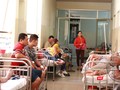 Số lượng bệnh nhân sốt xuất huyết tăng đột biến
