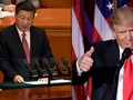 Các ông Tập Cận Bình -Donald Trump “nhất trí hợp tác”