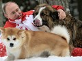 Báo Nga: Nhật Bản đang suy nghĩ lại việc tặng ông Putin con chó Akita Inu thứ hai.