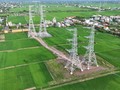 "Đường 500 kV mạch 3 có ý nghĩa đặc biệt quan trọng"