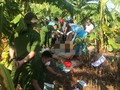 Vụ sập cầu Phong Châu: Phát hiện thêm thi thể nam giới trên sông Hồng