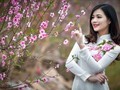 Chốt lịch nghỉ Tết Nguyên đán Ất Tỵ và các ngày lễ trong năm 2025
