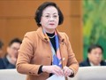 Trình Thường vụ Quốc hội cơ cấu tổ chức mới của Chính phủ