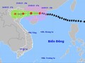 Bão Ragasa đổ bộ Quảng Ninh, cảnh báo mưa lớn toàn Bắc Bộ