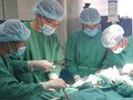 Lần đầu tiên chạy ECMO phẫu thuật sẹo khí quản cho bệnh nhân. Ảnh: BVCC