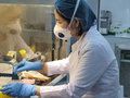 Xét nghiệm COVID-19. Ảnh: HCDC