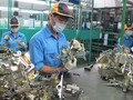 66% DN Nhật muốn mở rộng kinh doanh ở Việt Nam