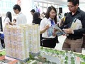 Mỗi ngày có 223 DN địa ốc thành lập mới: Bất động sản sắp có sóng?