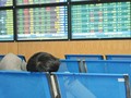 Sửa Thông tư 210: Mong manh số phận CTCK yếu