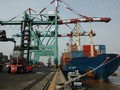 Hàng loạt đại gia muốn làm cổ đông chiến lược Cảng Sài Gòn