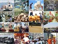 Xuất khẩu ngấm đòn tỷ giá