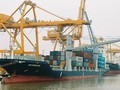 Lũy kế 4 tháng đầu năm nay, kim ngạch nhập khẩu ước đạt 53,1 tỷ USD, tăng 19,9% so với cùng kỳ năm trước.