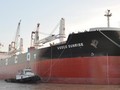 Phát triển vận tải biển: Mấu chốt là hiện đại hóa đội tàu
