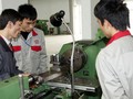 Tổng quan chất lượng nguồn nhân lực tại Việt Nam
