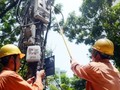 Hà Nội: Xuất hiện tình trạng ghi sai số điện