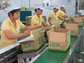 Theo đề xuất của Tổng Liên đoàn lao động Việt Nam, lương tối thiểu sẽ tăng tới 600.000 đồng/ tháng so với năm nay