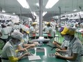 Cả nước nhập siêu 500 triệu USD trong tháng 7