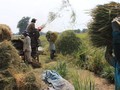 Chuyên gia cho rằng Việt Nam không nên chỉ dựa vào chính sách tỷ giá để duy trì sức cạnh tranh trên thị trường xuất khẩu.