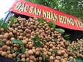 Nhãn Thái Lan, Trung Quốc gắn mác nhãn lồng Hưng Yên
