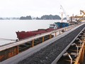 Lượng than cung ứng cho ngành điện tăng 5 triệu tấn năm 2016