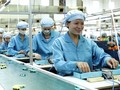 Việt Nam chưa phát triển công nghiệp hỗ trợ