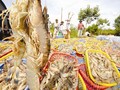 Xuất khẩu thủy sản đang gặp bất lợi do nguồn nguyên liệu không đảm bảo chất lượng, vệ sinh. Ảnh: LÊ HOÀNG VŨ