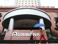 Sắp xử “đại án” cán bộ Agribank gây thiệt hại 2.755 tỉ đồng