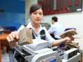 Từ ngày 18-12, lãi suất tiền gửi cá nhân bằng đô la Mỹ đã về 0%