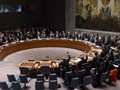 Hội đồng Bảo an Liên Hiệp Quốc họp và thông qua tiến trình hòa bình cho Syria hôm 18-12 (Ảnh: AFP) 